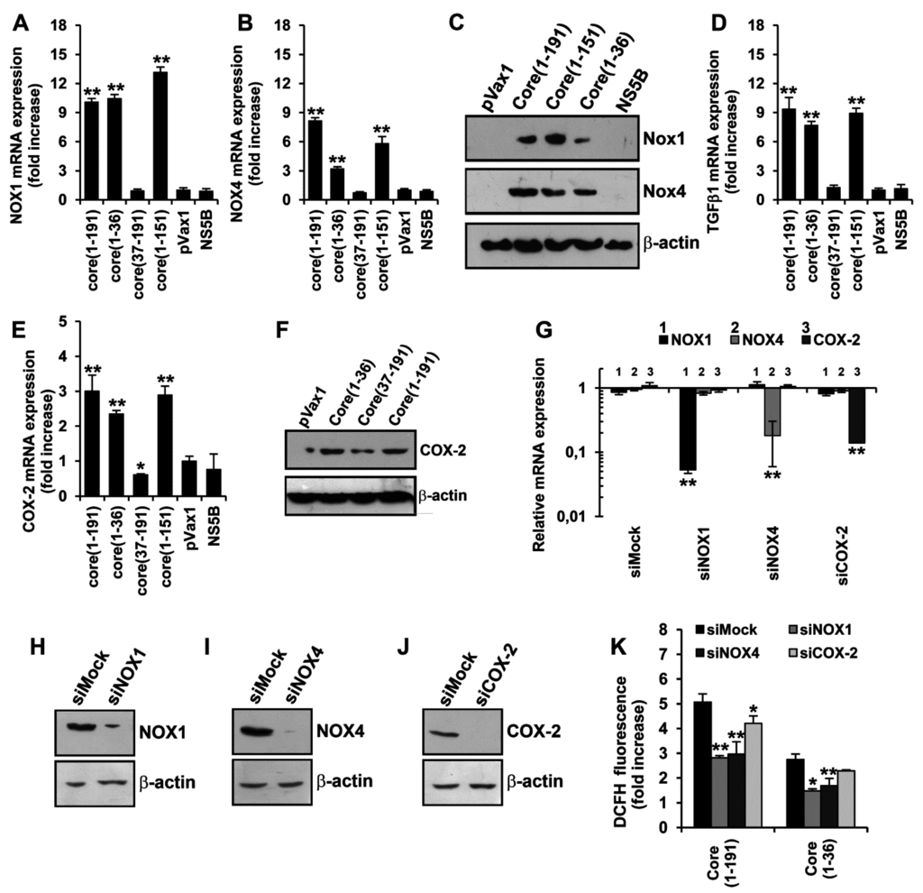 Viruses 07 02745 g003a 1024