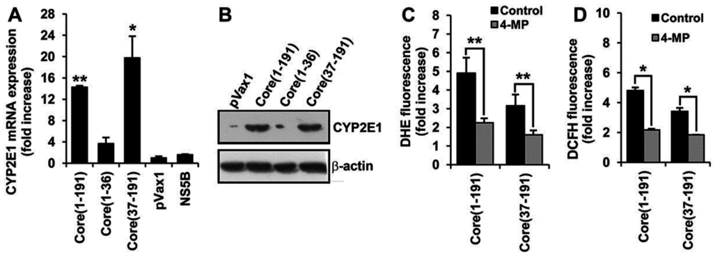 Viruses 07 02745 g004 1024