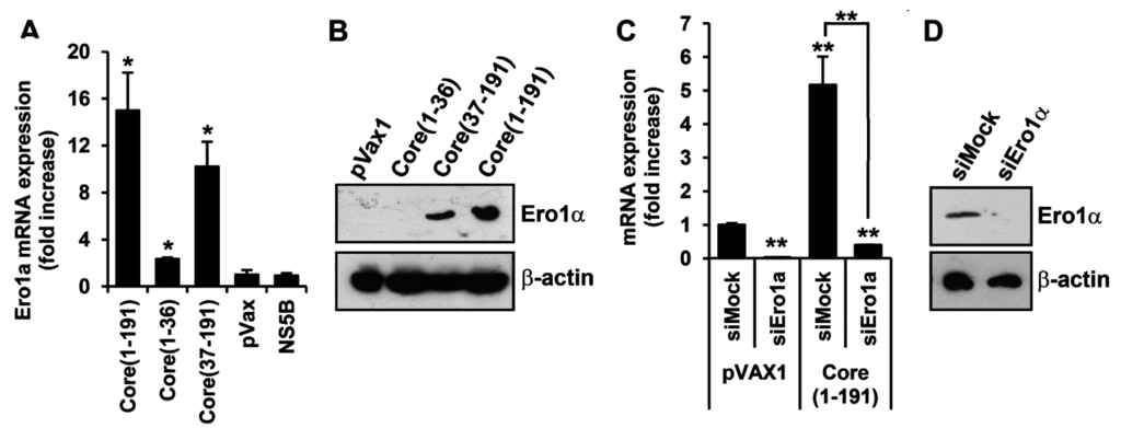 Viruses 07 02745 g005a 1024