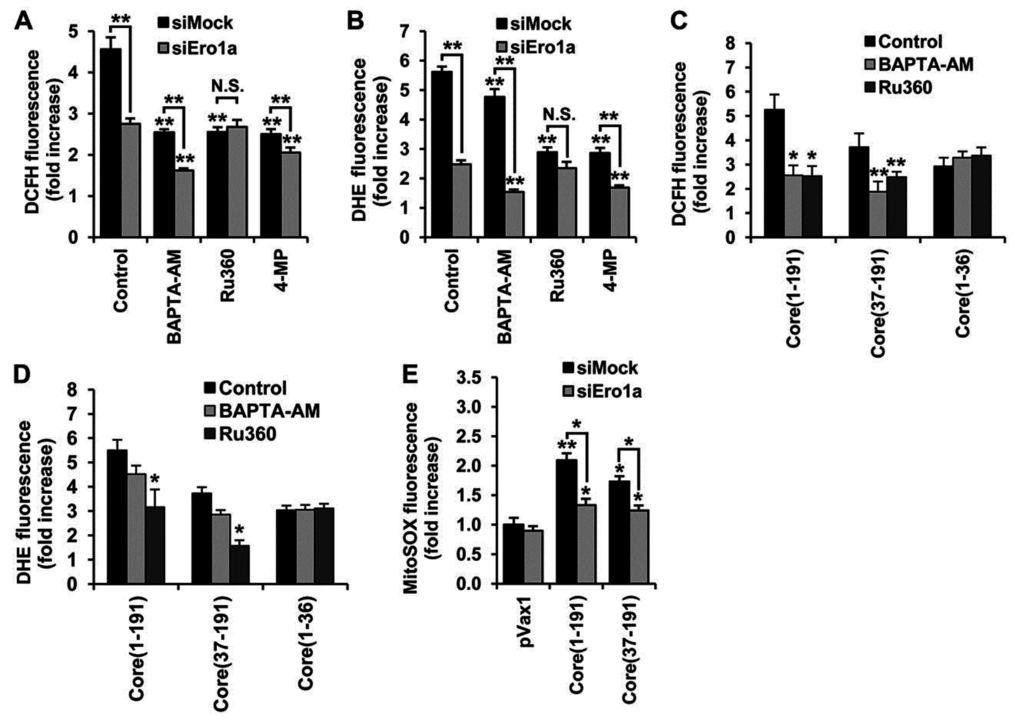 Viruses 07 02745 g006 1024