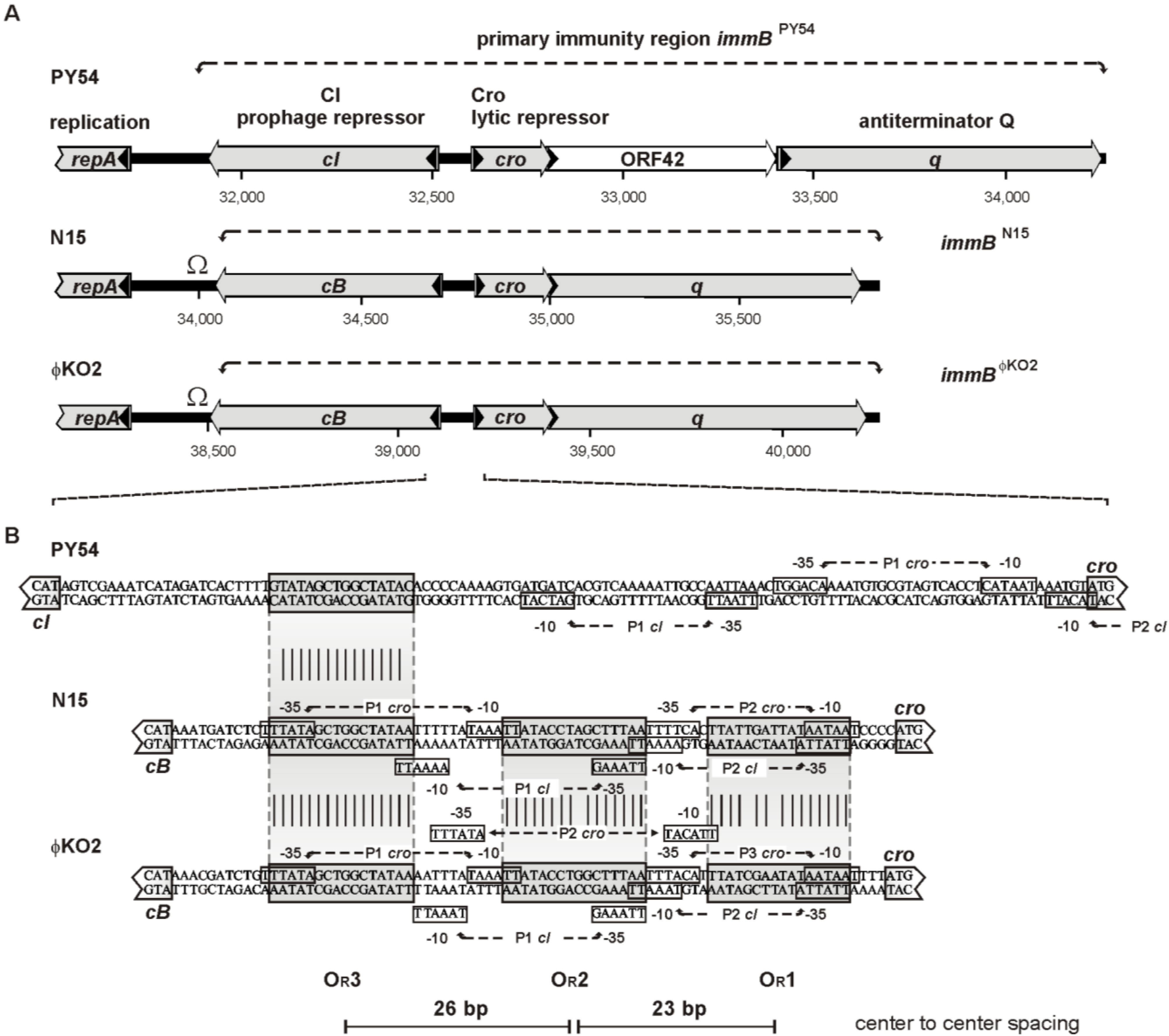 Viruses 07 02746 g002