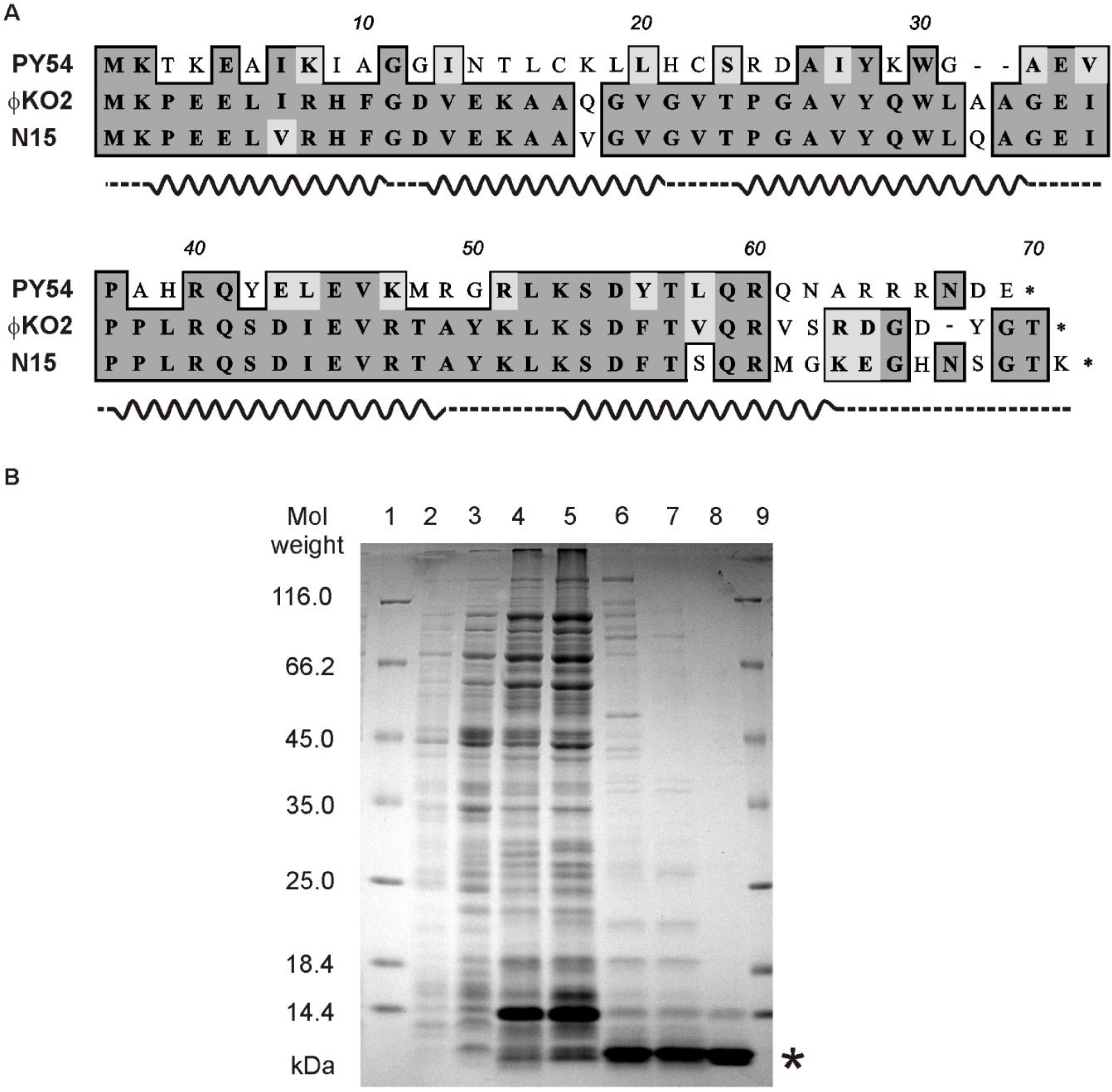 Viruses 07 02746 g003