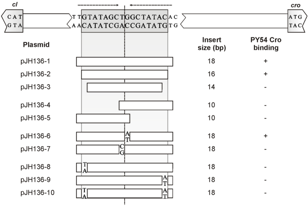 Viruses 07 02746 g005 1024
