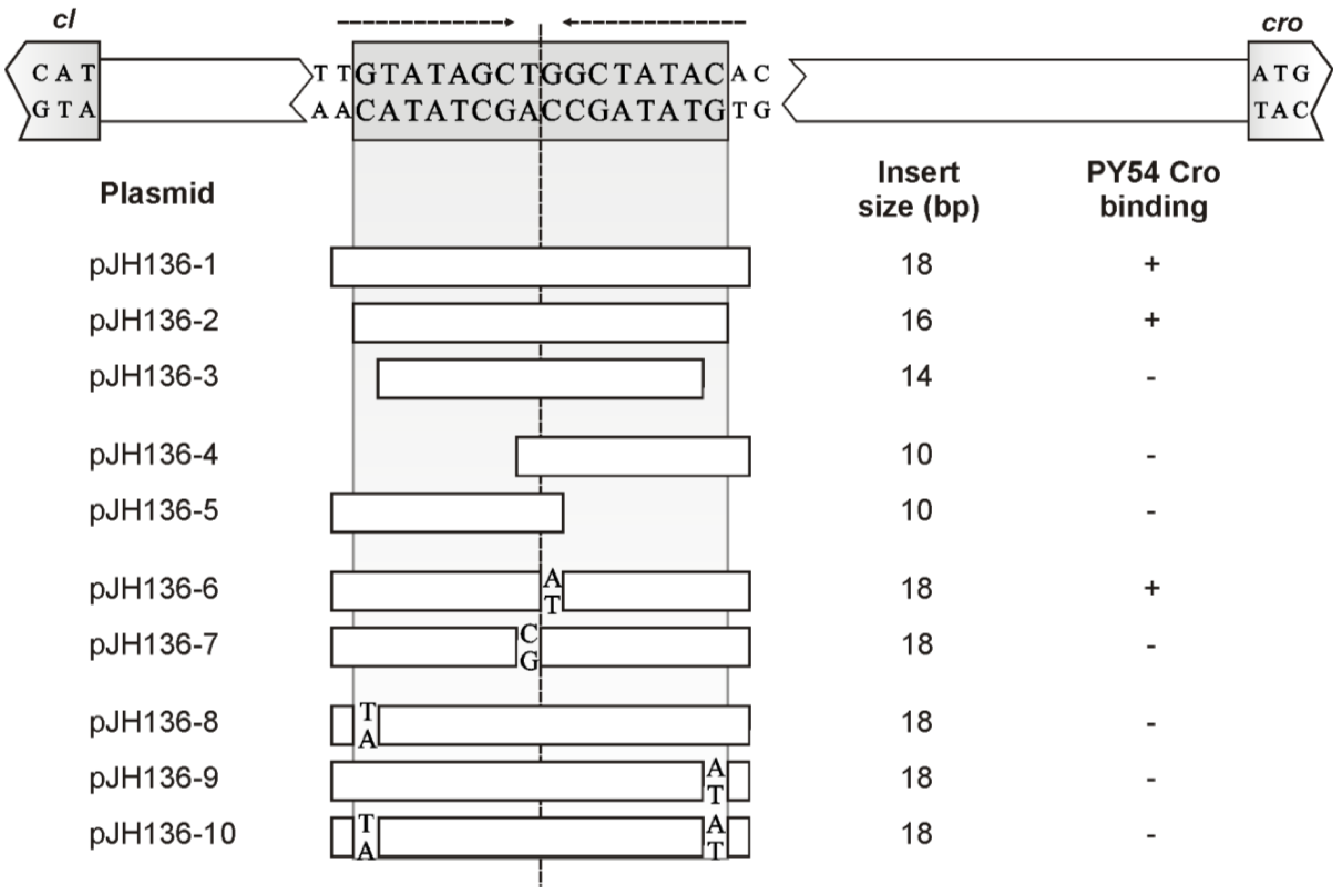 Viruses 07 02746 g005