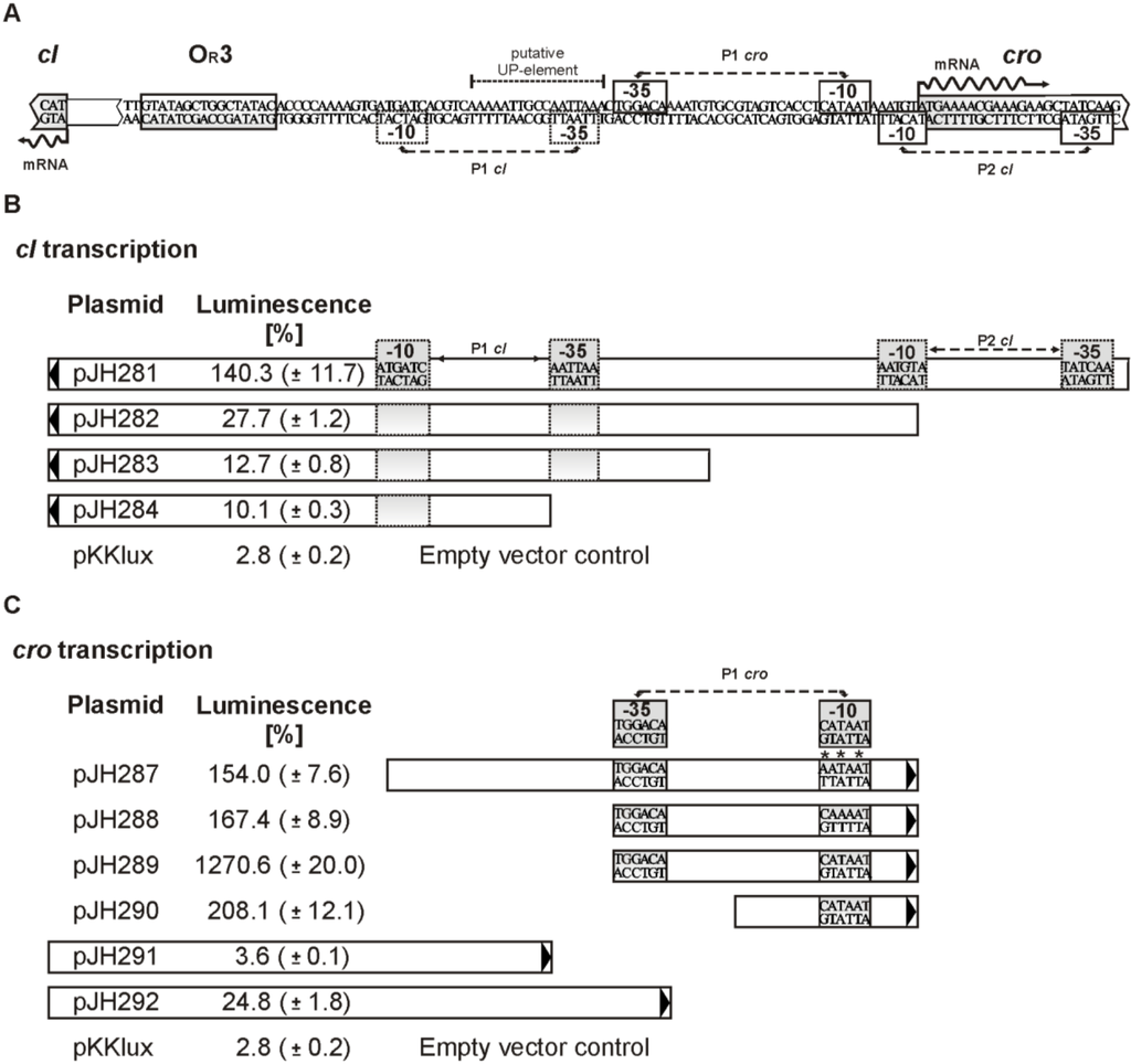 Viruses 07 02746 g006 1024