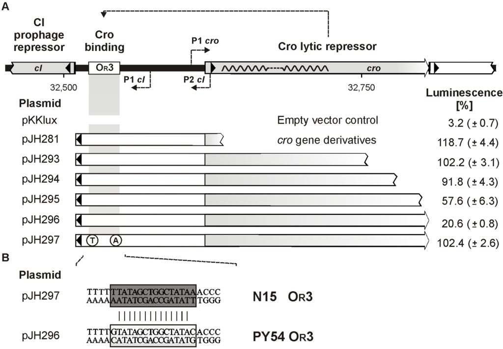 Viruses 07 02746 g007 1024