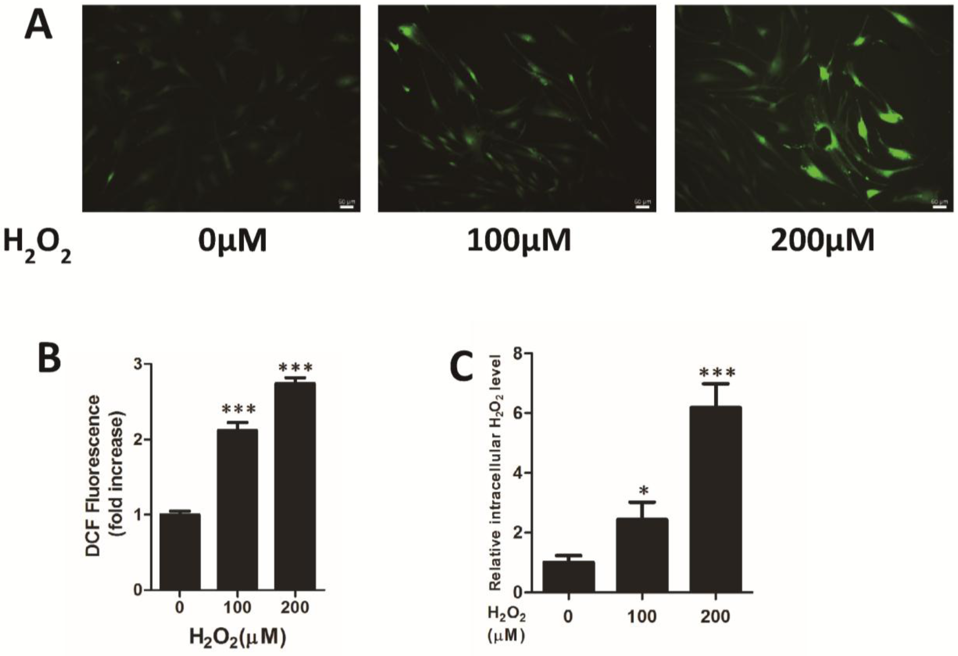 Viruses 07 02748 g001