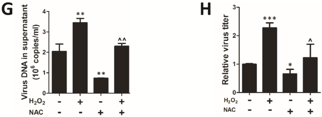 Viruses 07 02748 g004b 1024