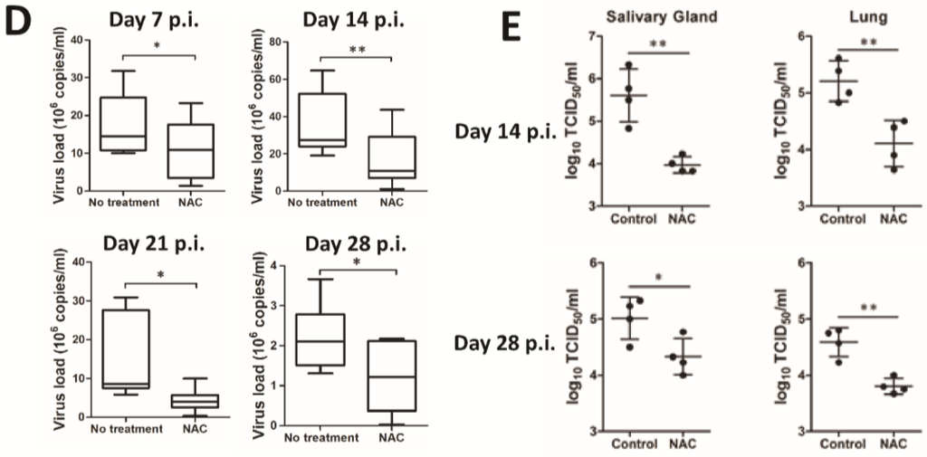 Viruses 07 02748 g005b 1024