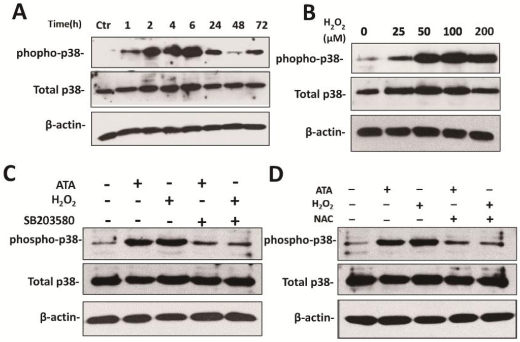Viruses 07 02748 g006a 1024
