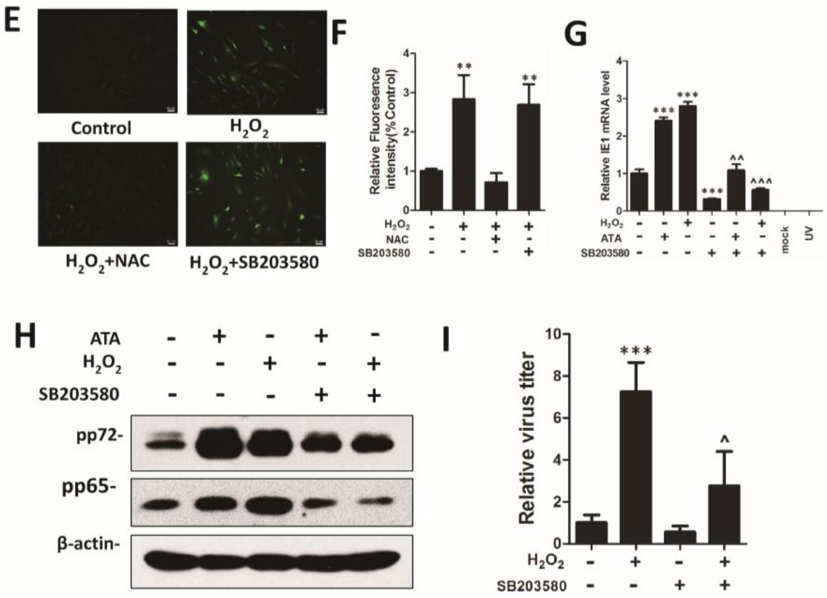 Viruses 07 02748 g006b