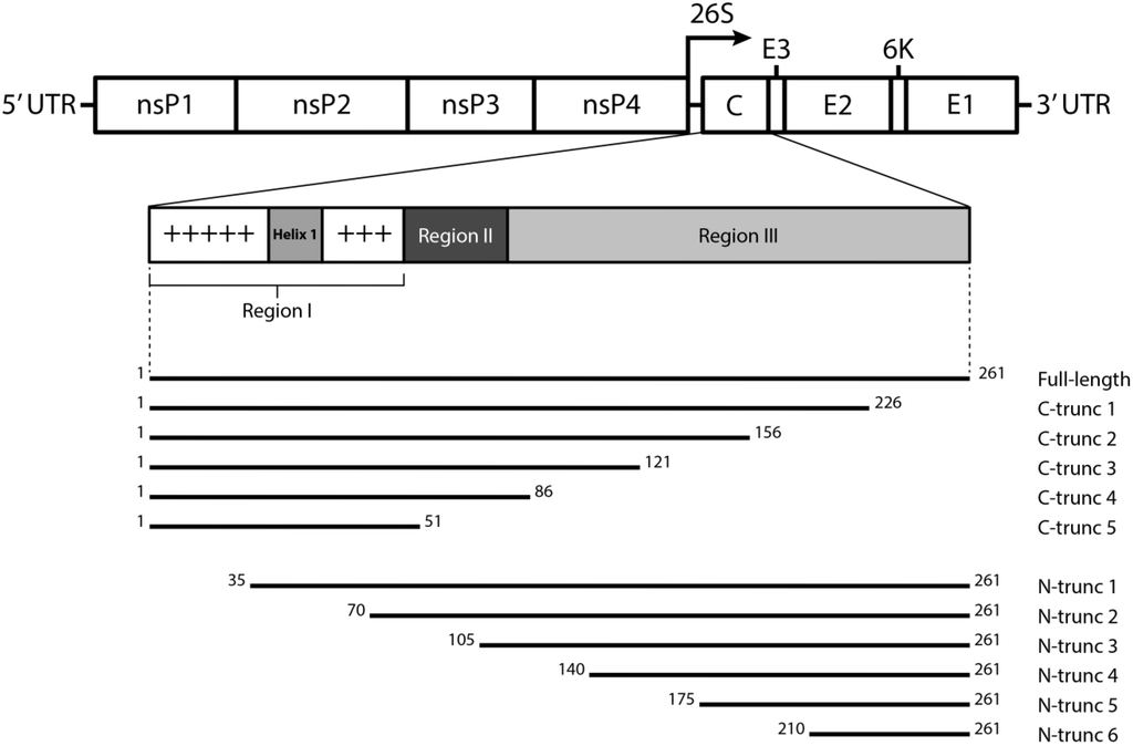 Viruses 07 02754 g001 1024