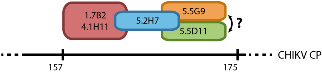 Viruses 07 02754 g009 1024