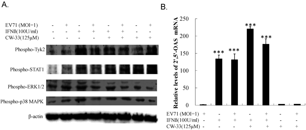 Viruses 07 02764 g009 1024