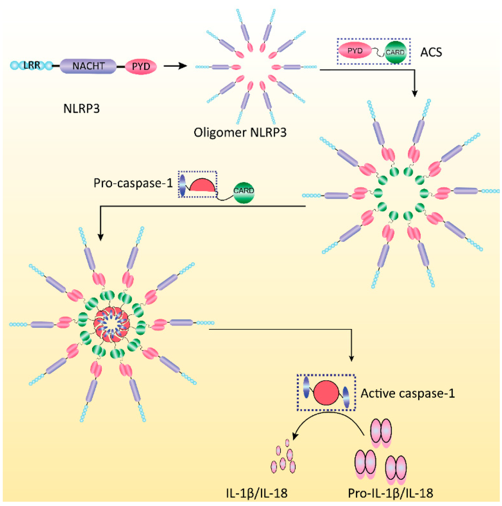Viruses 07 02777 g001 1024