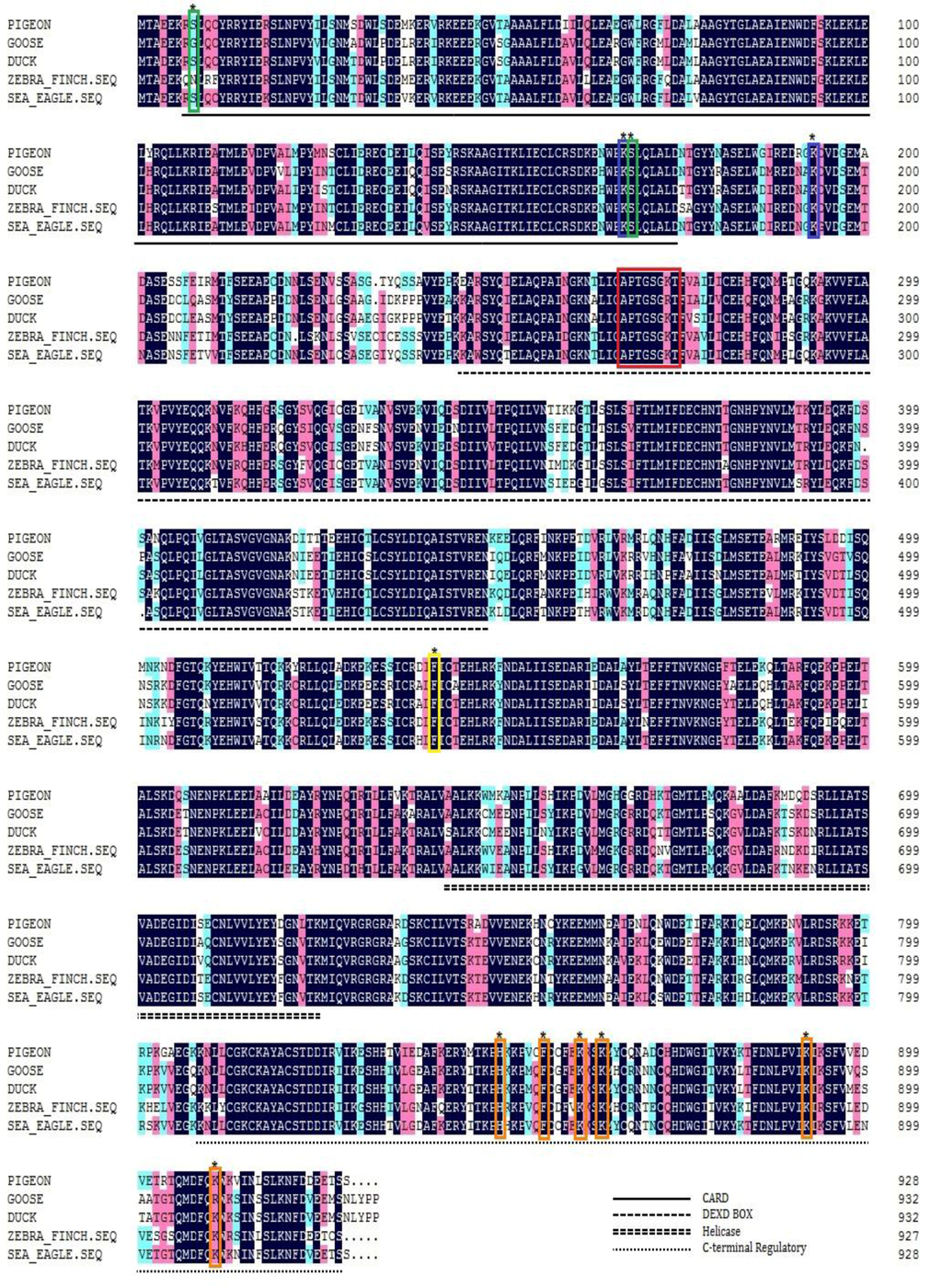 Viruses 07 02813 g001 1024