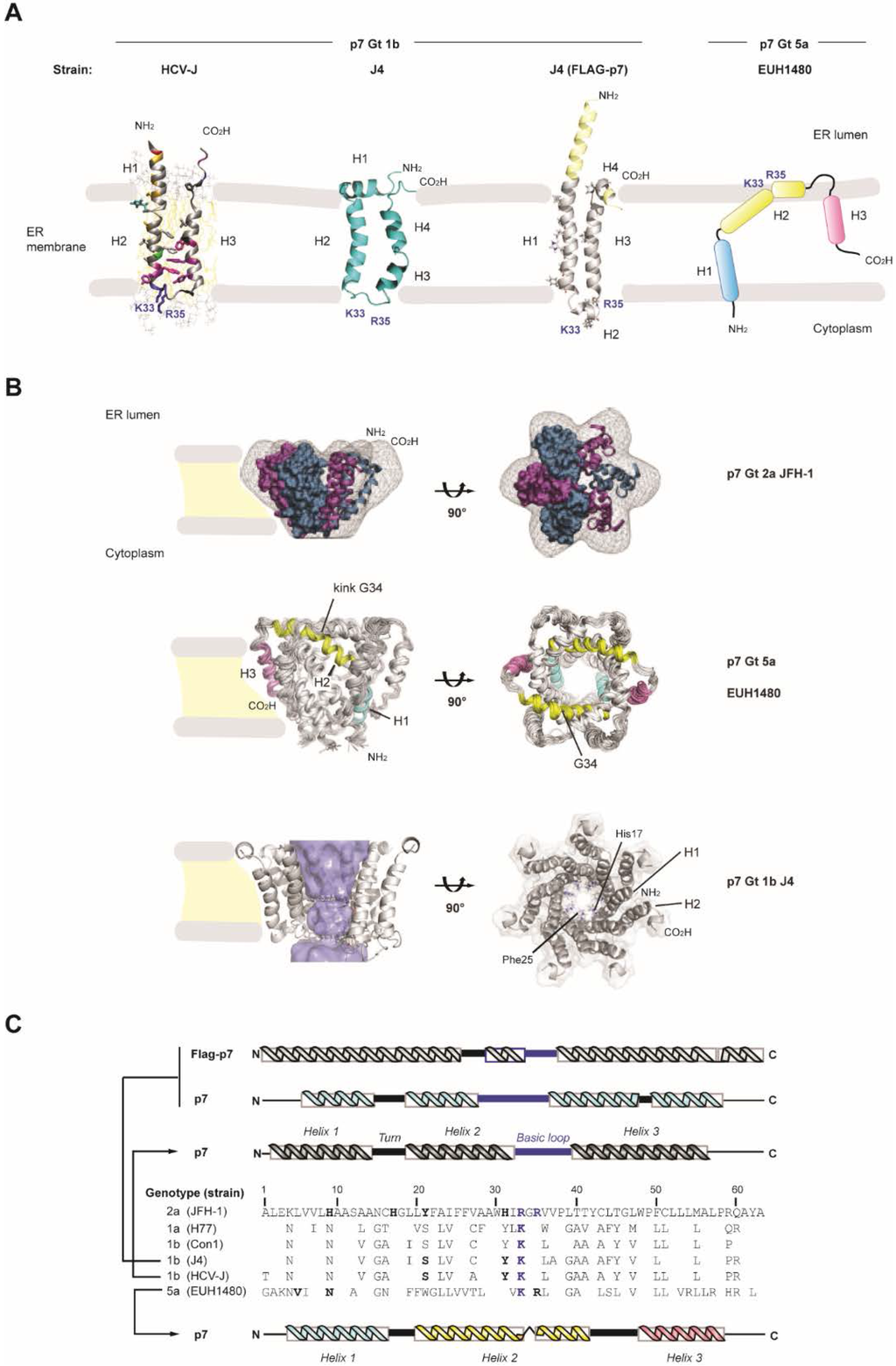 Viruses 07 02826 g002 1024