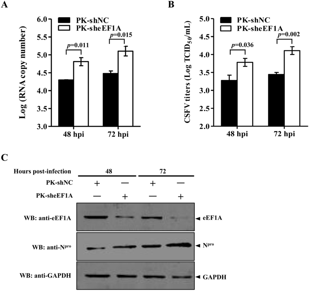 Viruses 07 02833 g004 1024