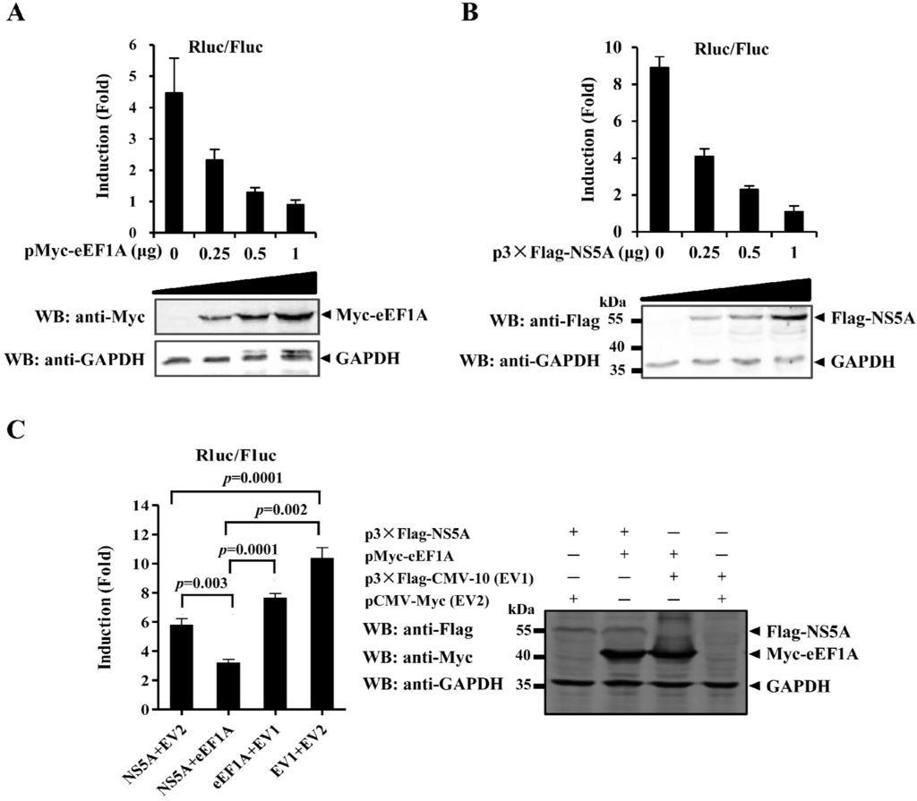 Viruses 07 02833 g005 1024