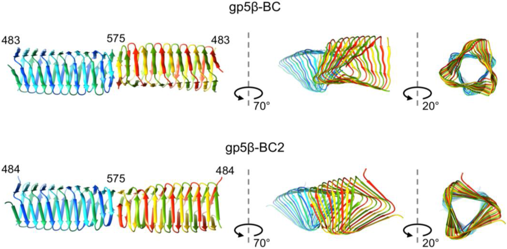 Viruses 07 02839 g006 1024