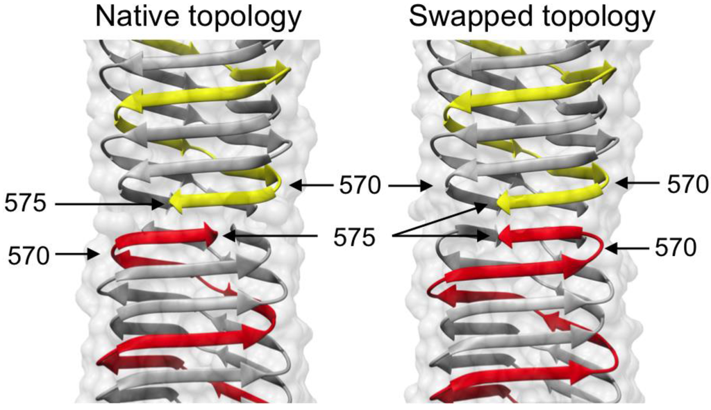 Viruses 07 02839 g007 1024