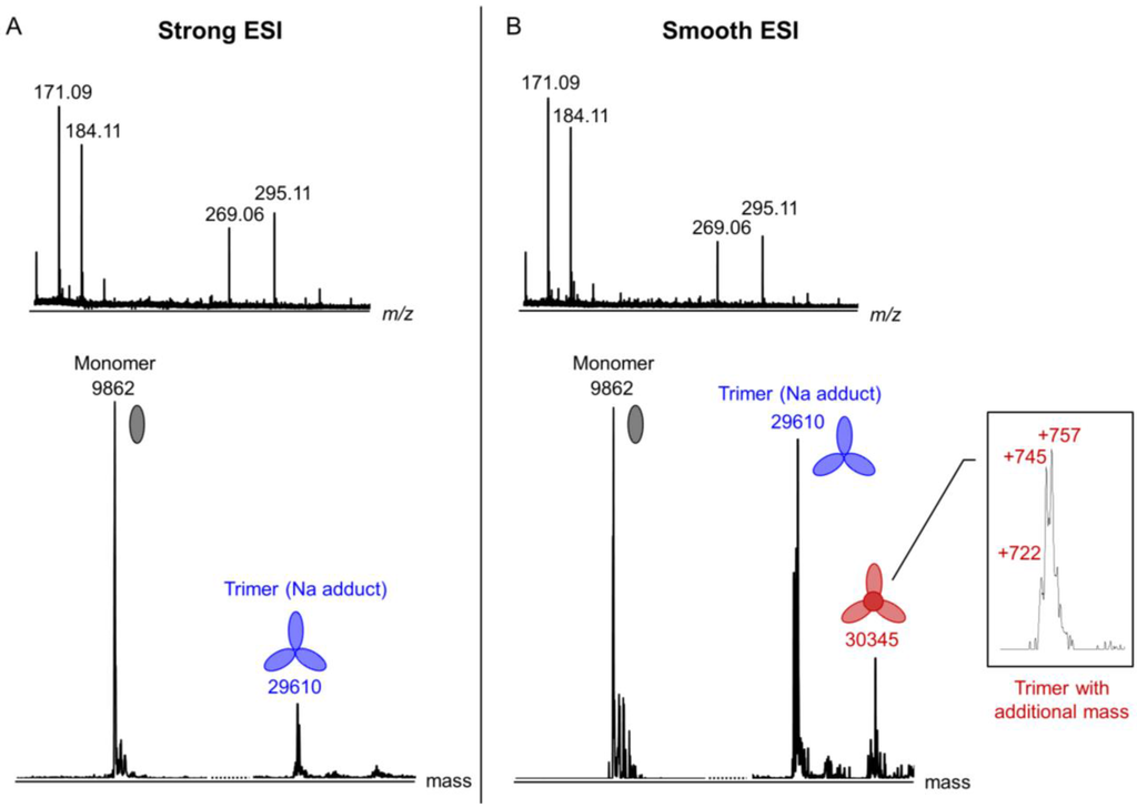 Viruses 07 02839 g010 1024