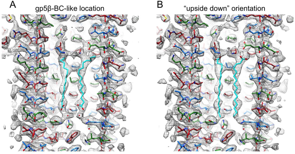 Viruses 07 02839 g012 1024