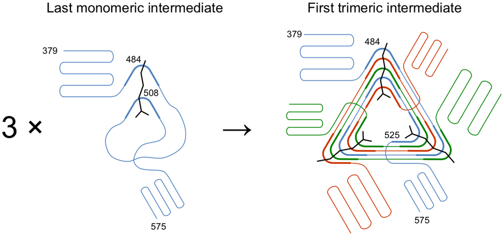 Viruses 07 02839 g014 1024