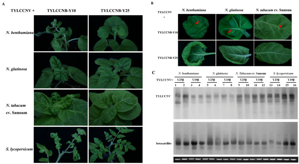 Viruses 07 02853 g001 1024