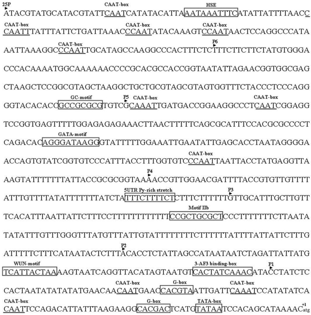 Viruses 07 02853 g003 1024