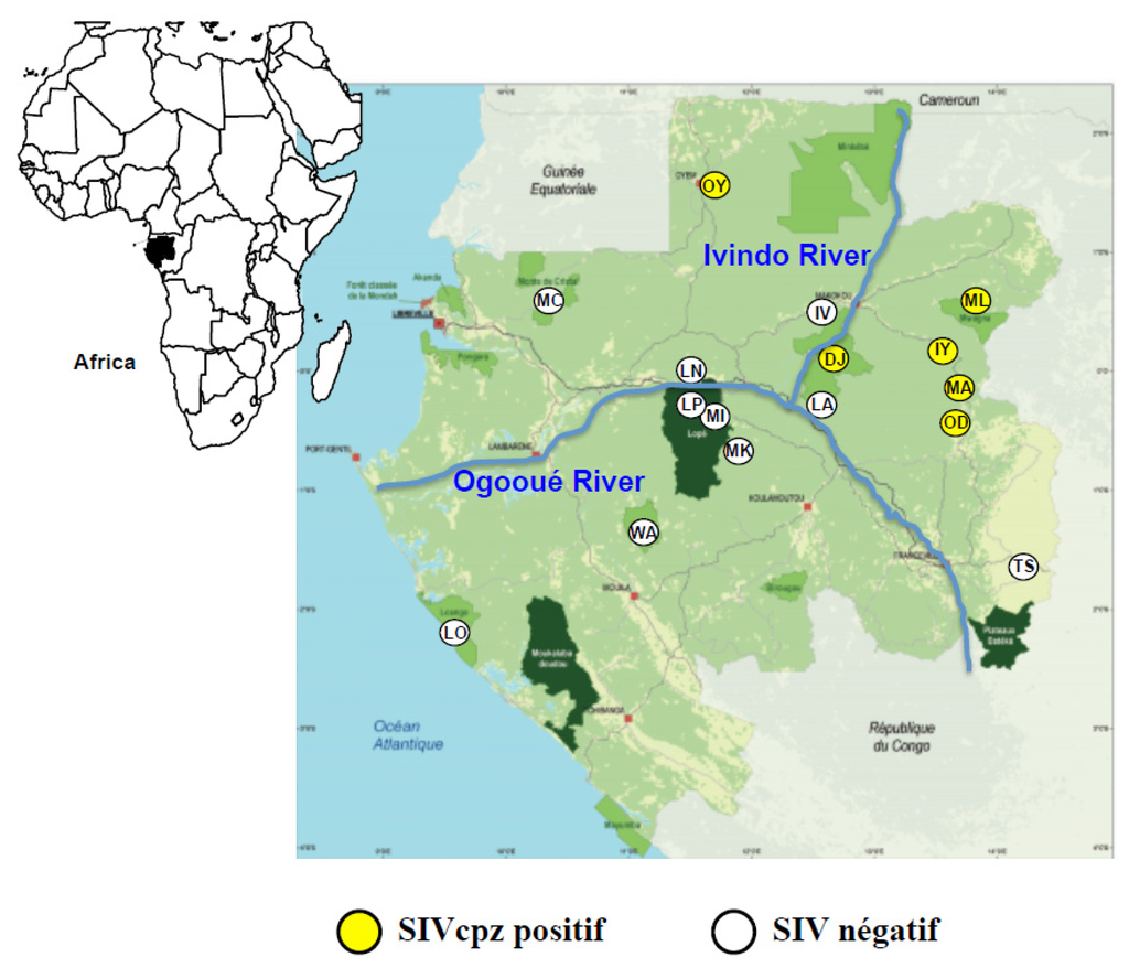 Viruses 07 02855 g001 1024