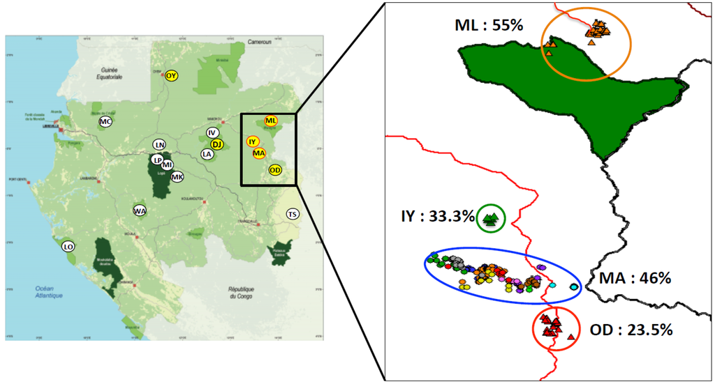 Viruses 07 02855 g003 1024
