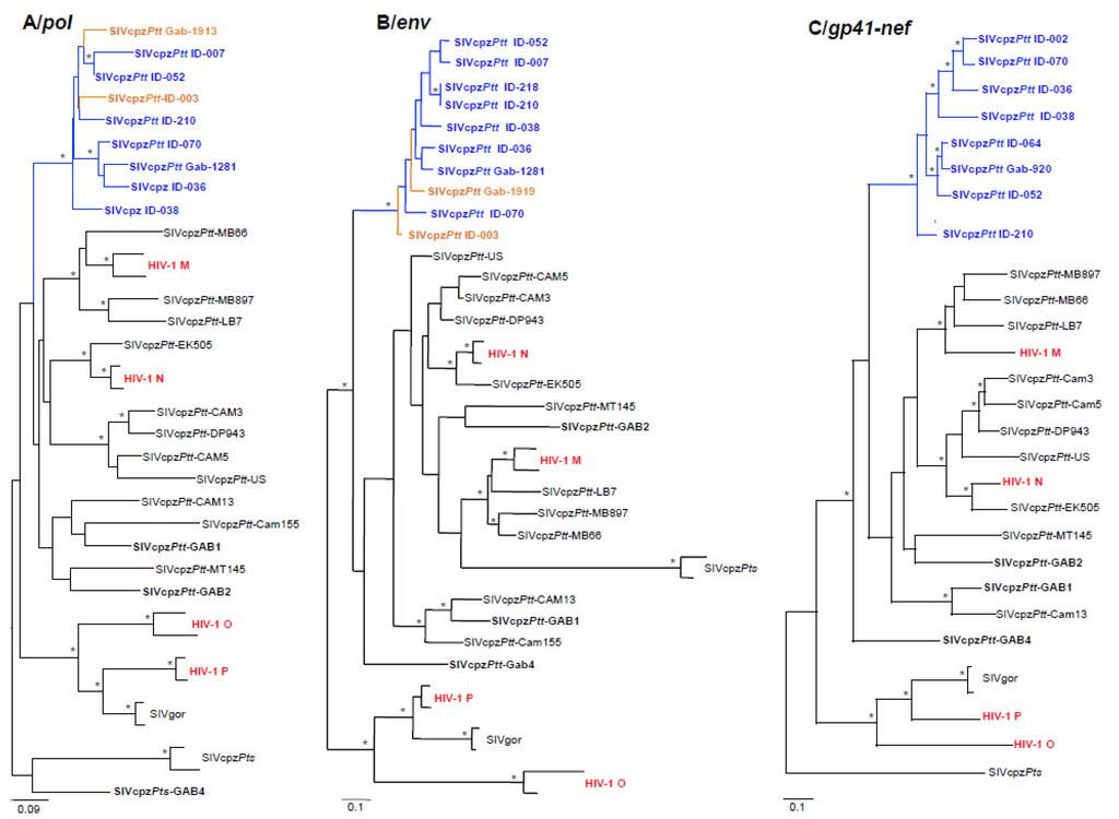 Viruses 07 02855 g005 1024