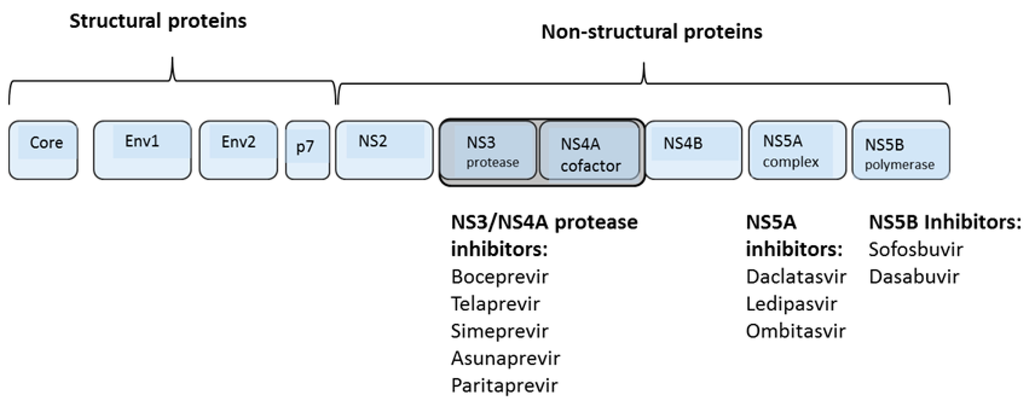 Viruses 07 02876 g001 1024