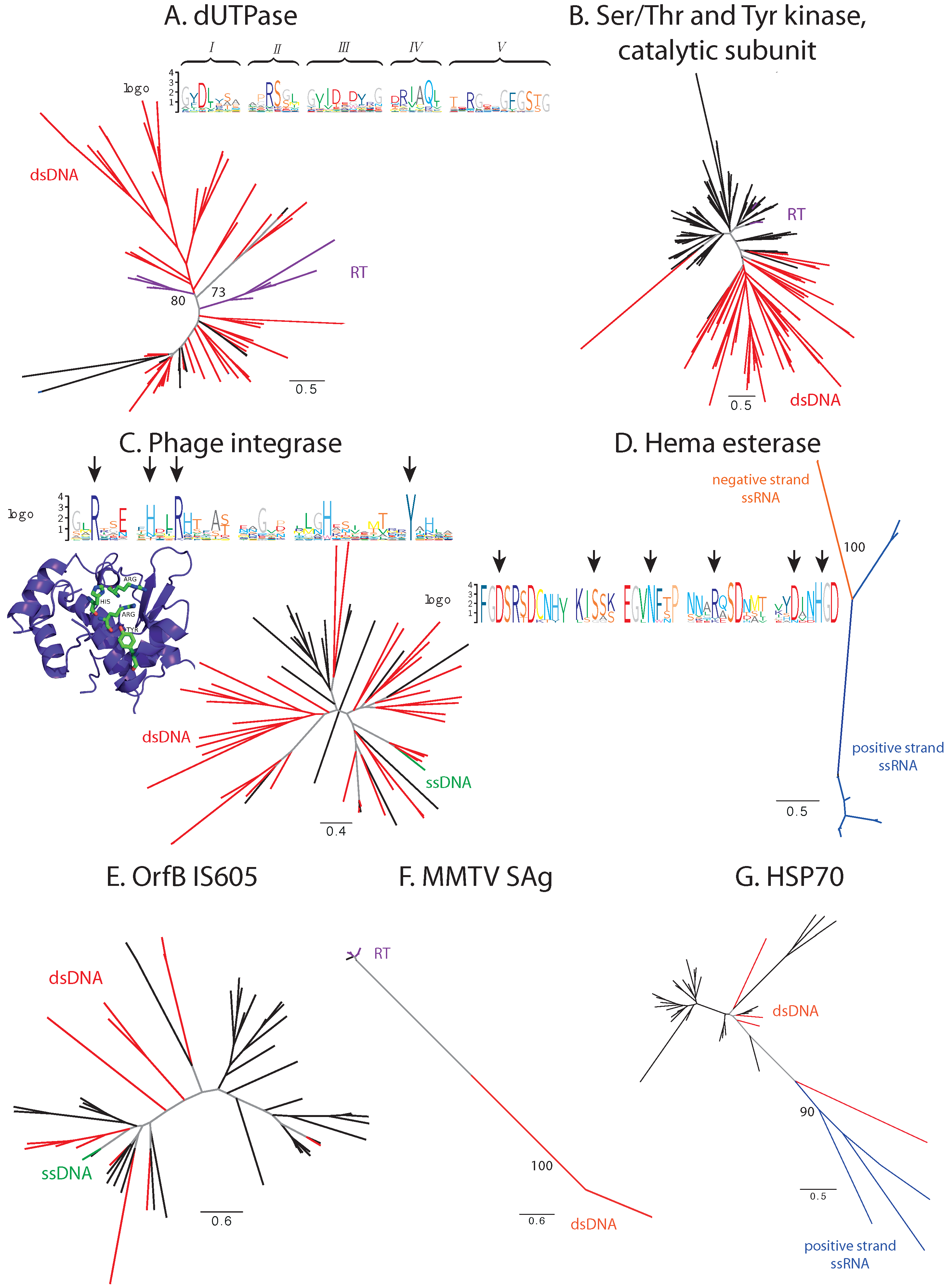 Viruses 07 02882 g002