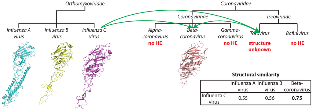 Viruses 07 02882 g005 1024