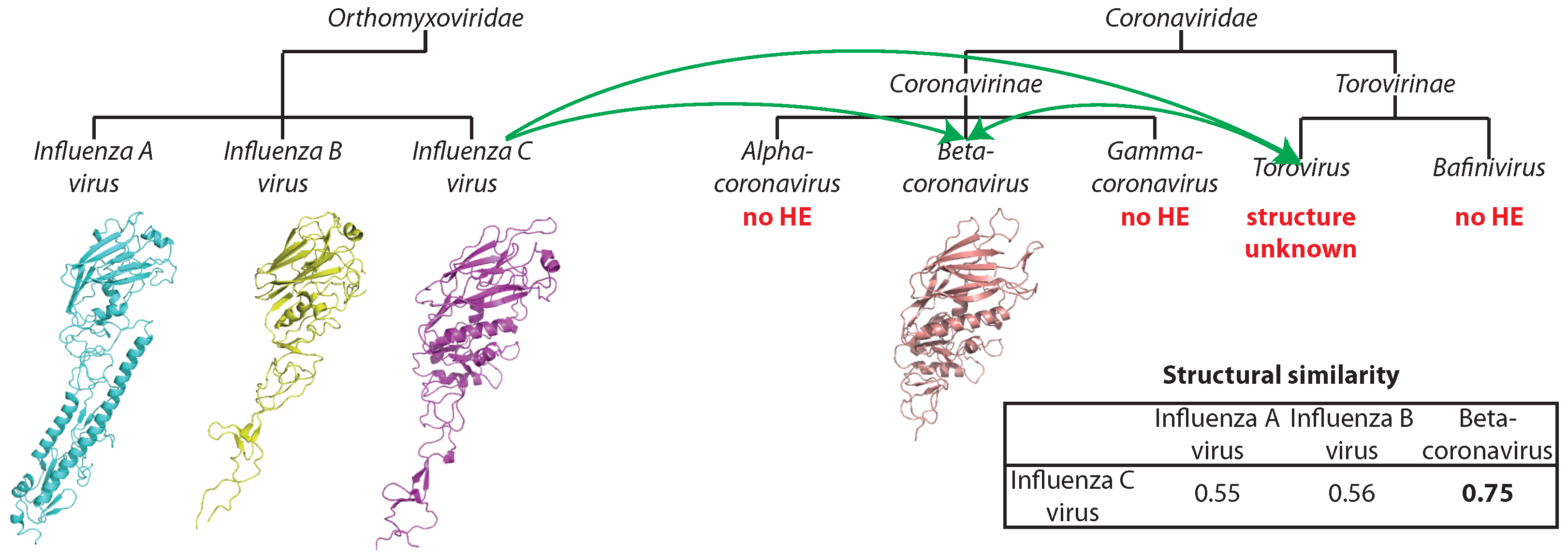 Viruses 07 02882 g005