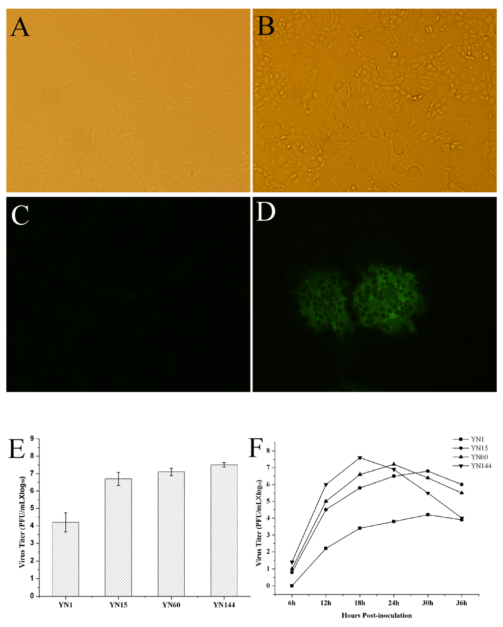 Viruses 07 02891 g001 1024