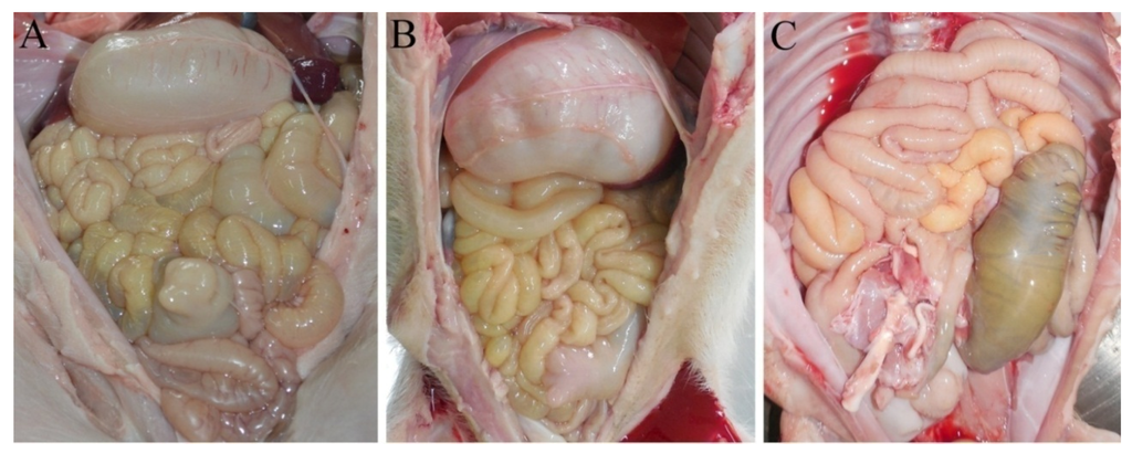 Viruses 07 02891 g002 1024