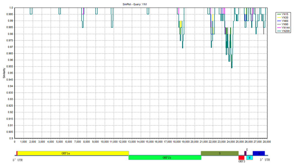 Viruses 07 02891 g006 1024