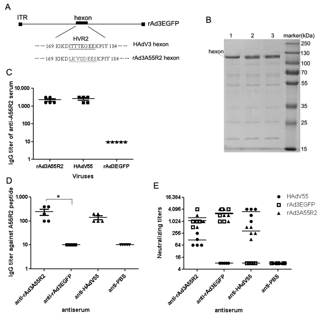 Viruses 07 02896 g004 1024