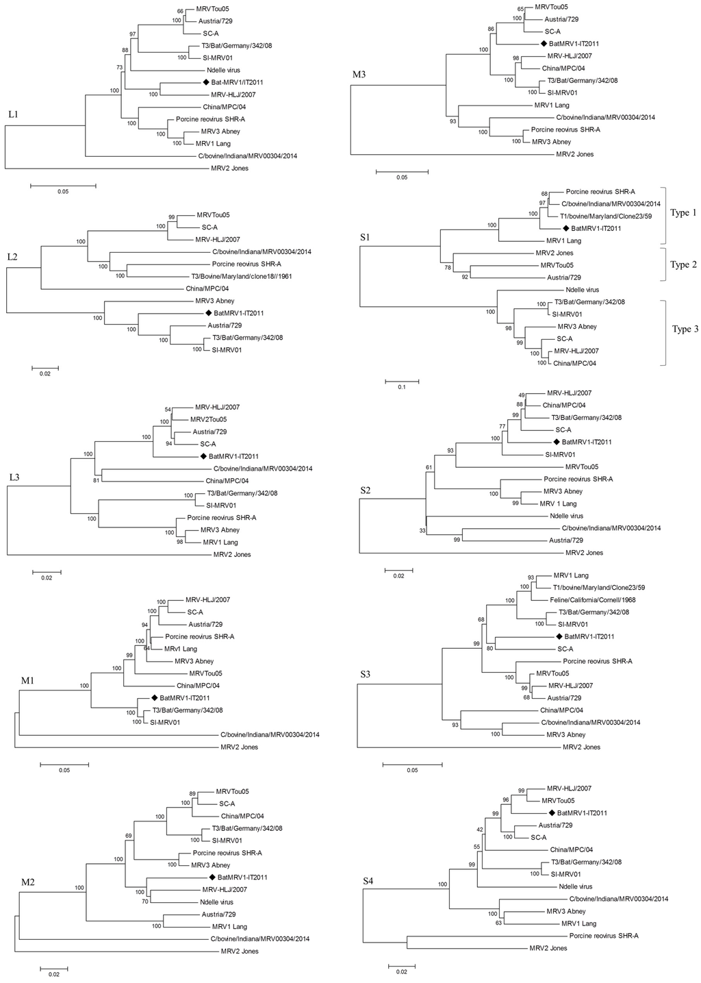 Viruses 07 02908 g002 1024