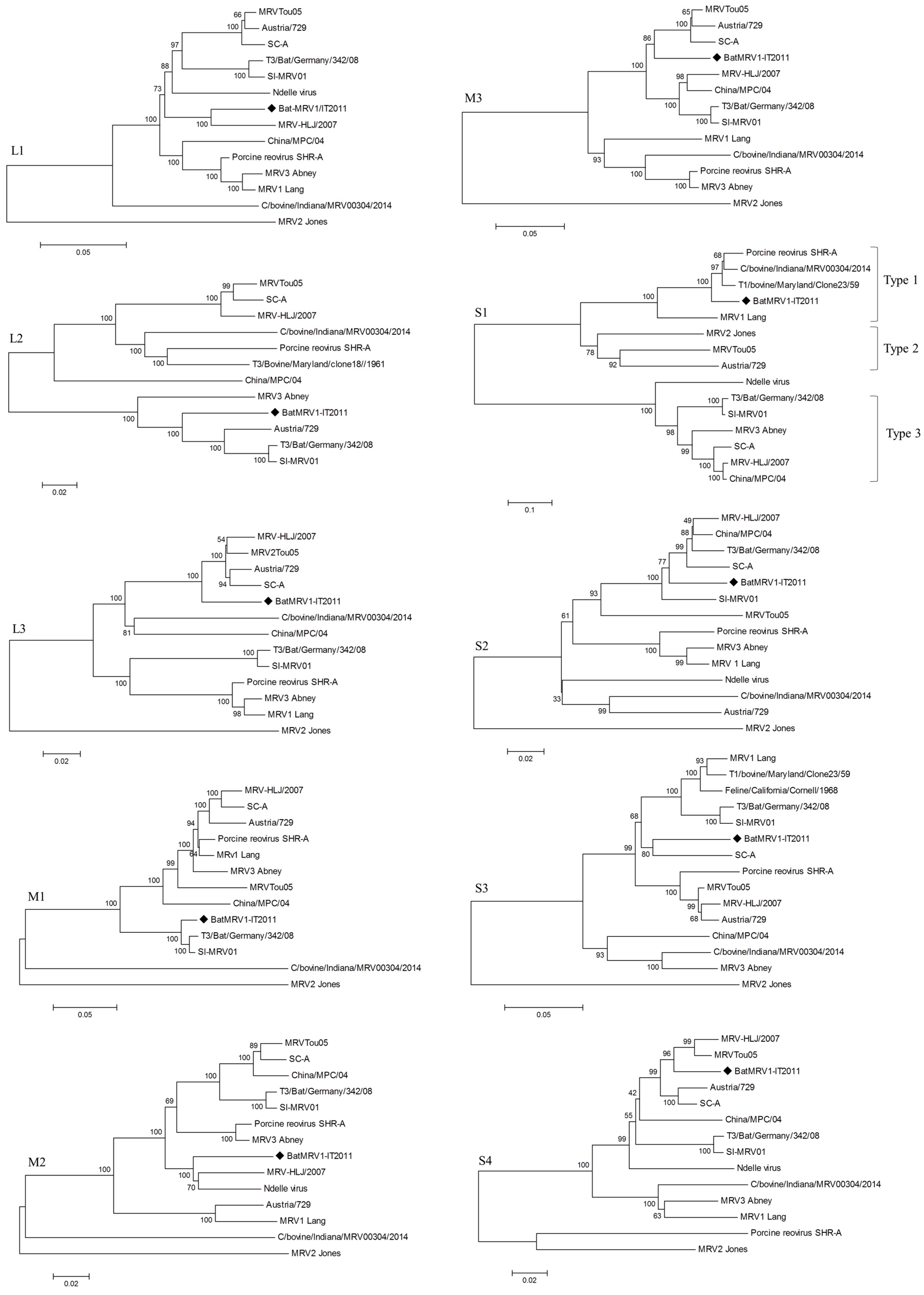 Viruses 07 02908 g002