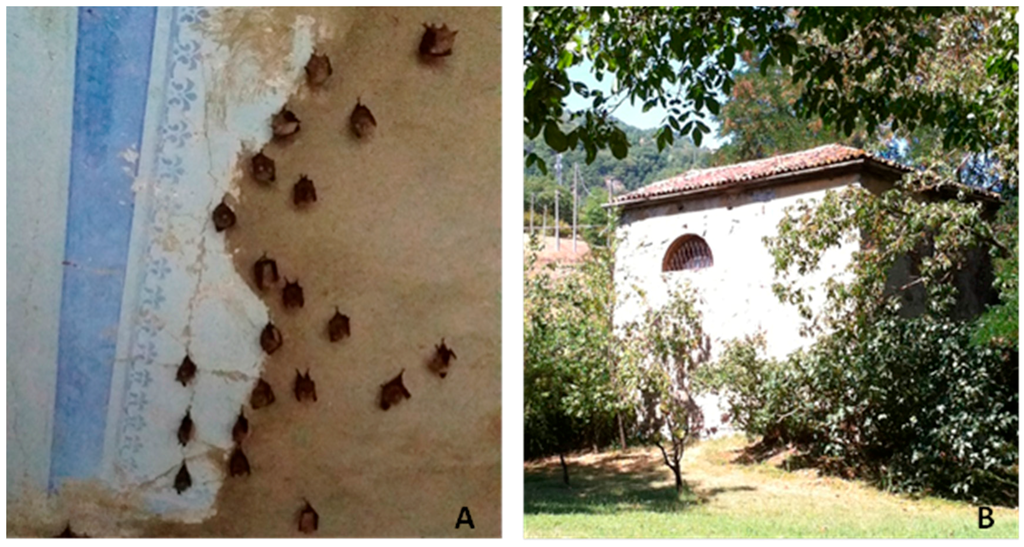 Viruses 07 02908 g004 1024