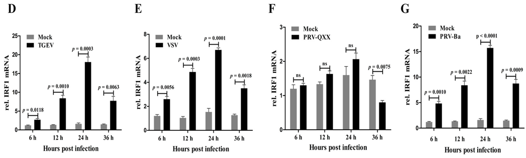 Viruses 07 02913 g001b 1024