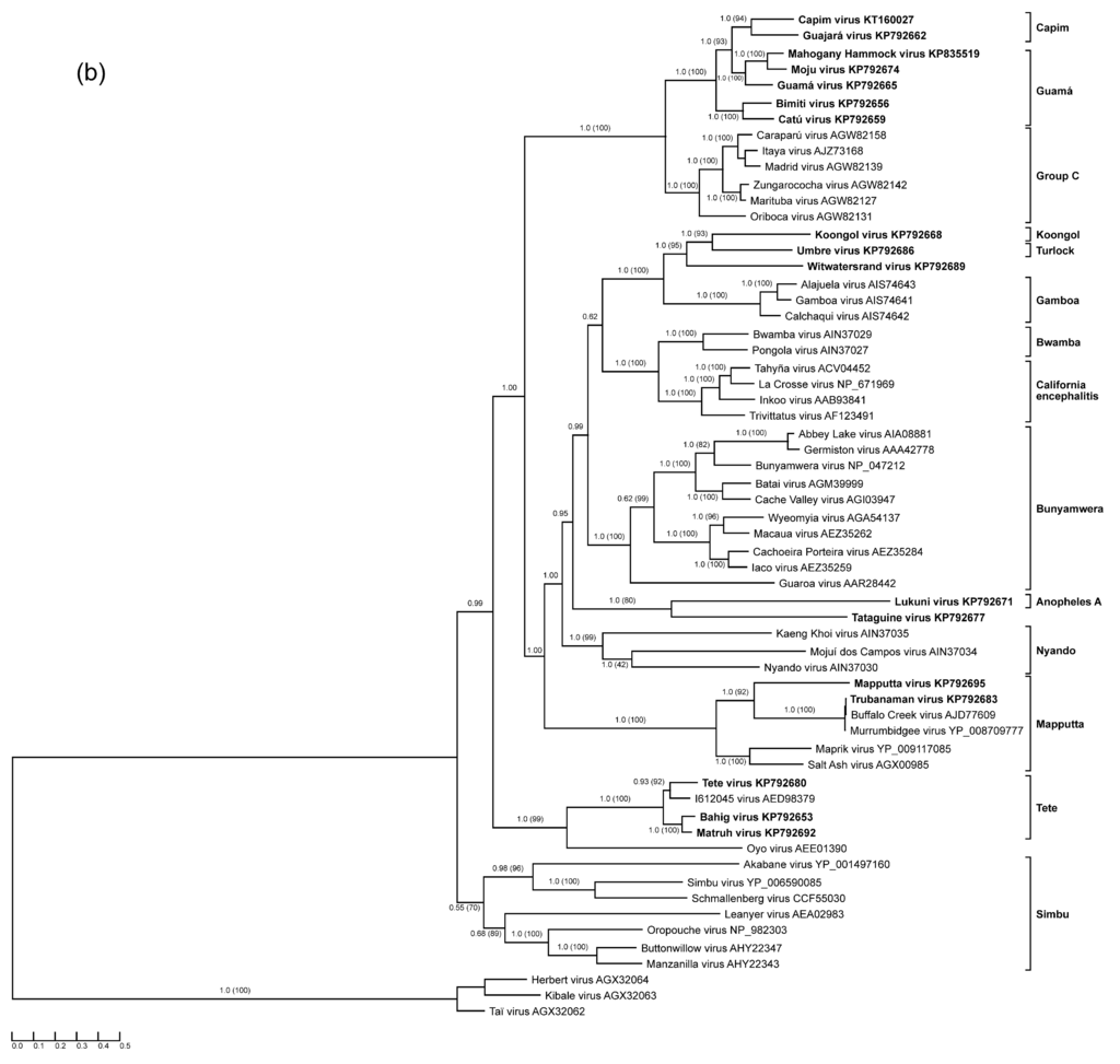 Viruses 07 02918 g001b 1024