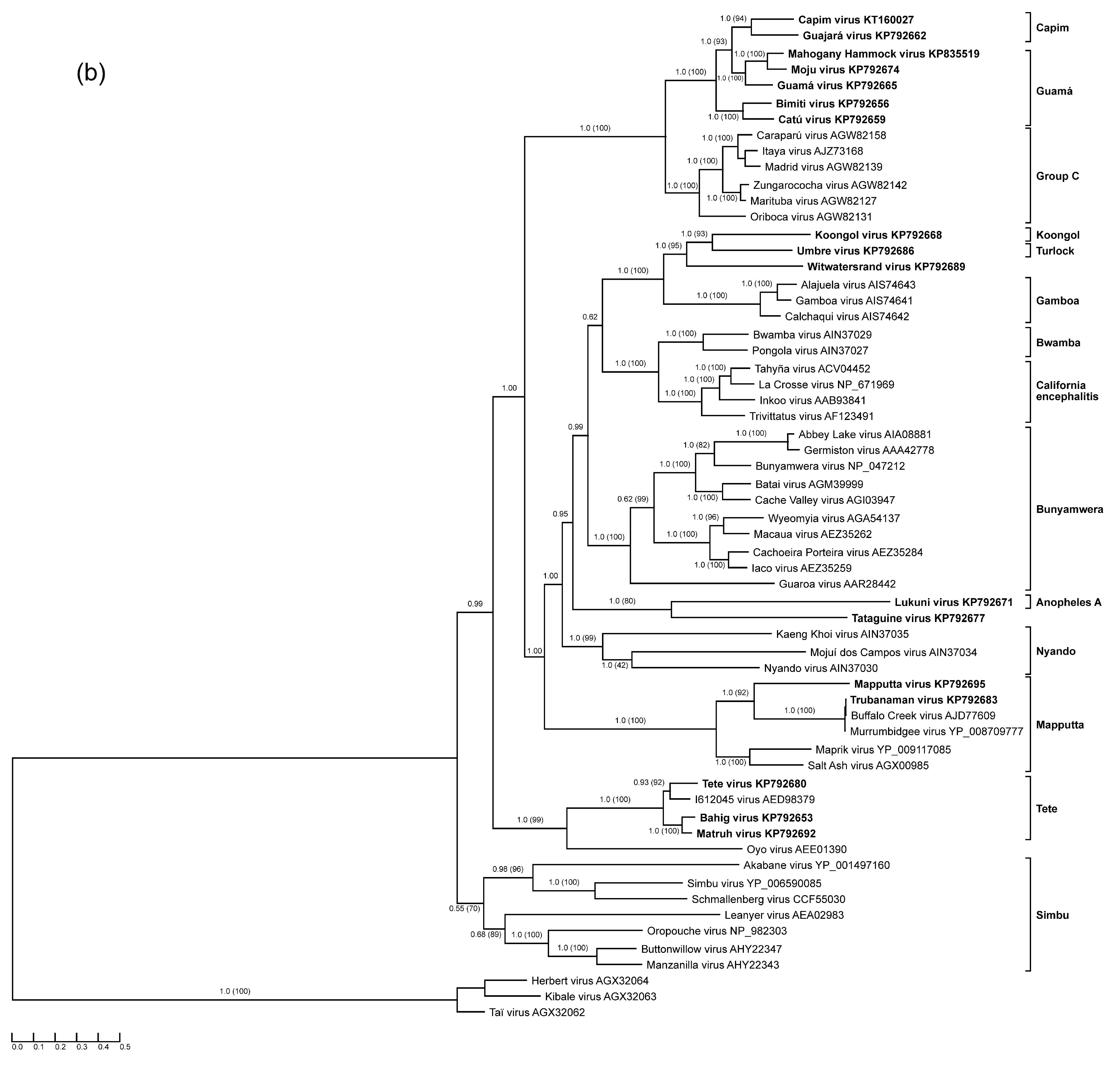 Viruses 07 02918 g001b