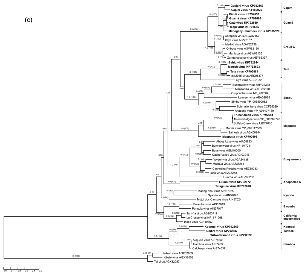 Viruses 07 02918 g001c 1024