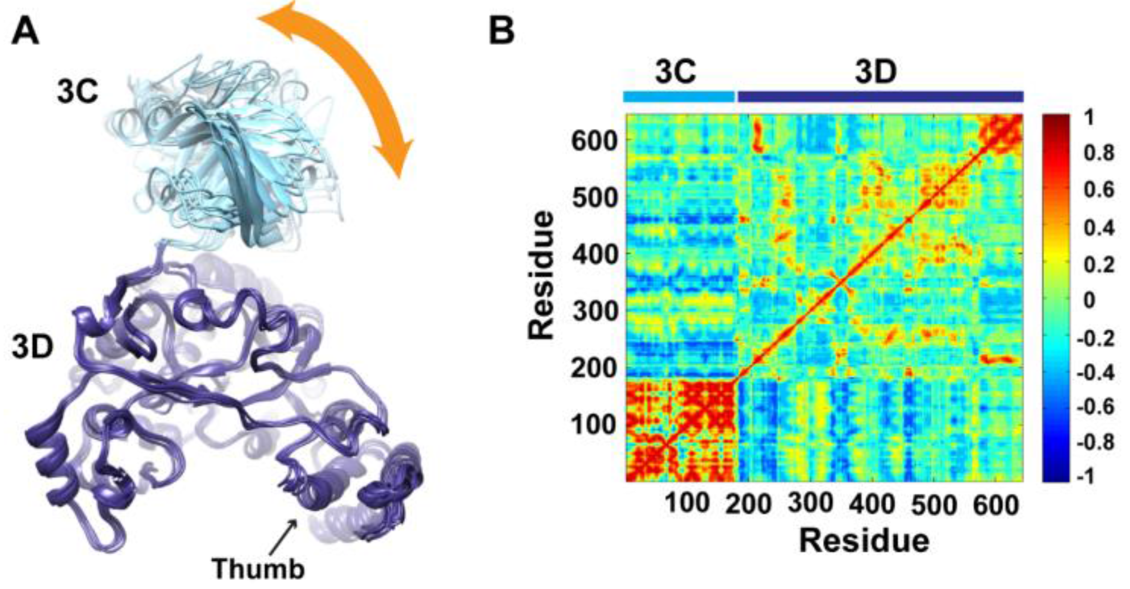 Viruses 07 02919 g004