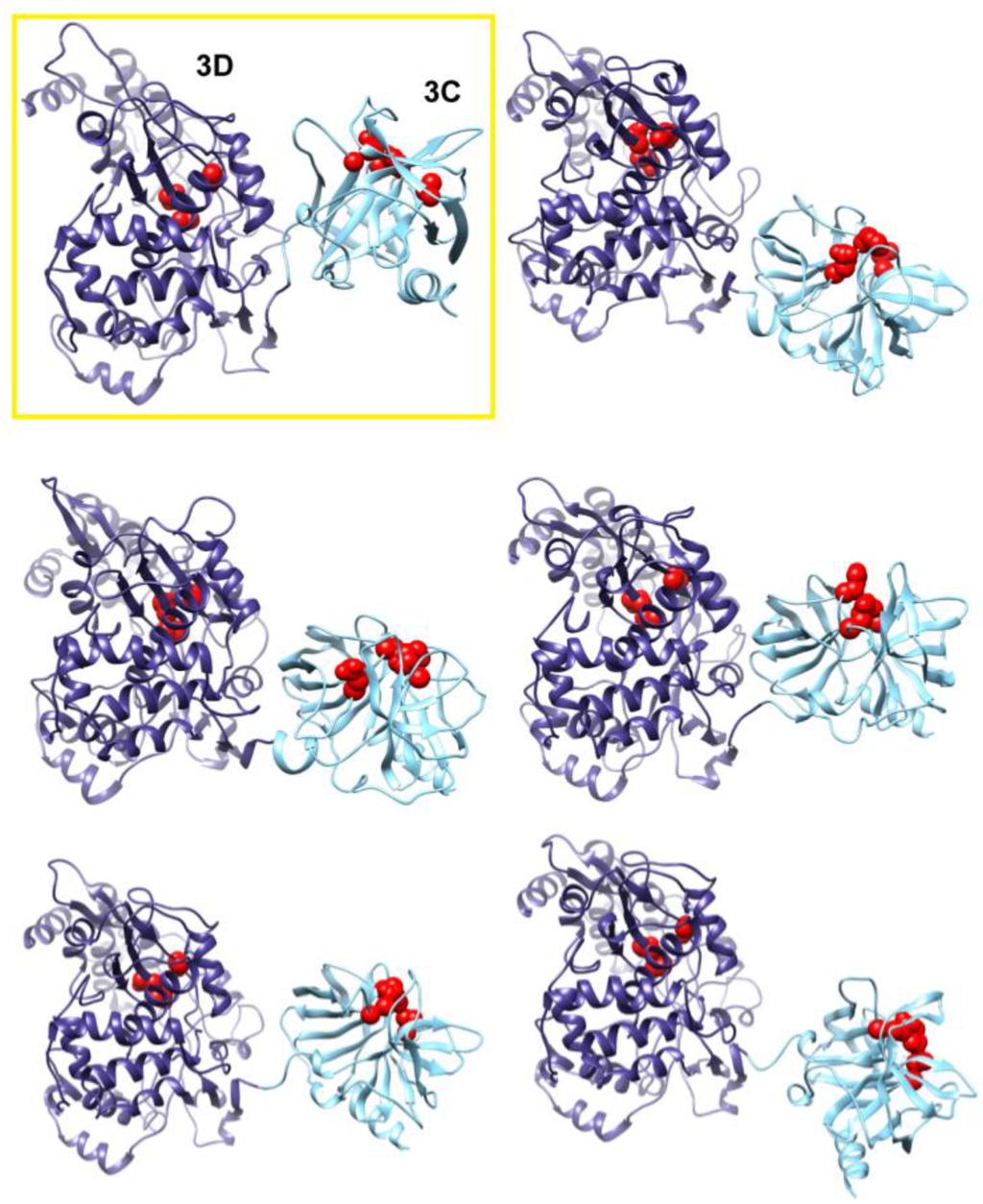 Viruses 07 02919 g007 1024